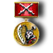 Медаль за победу над Заей